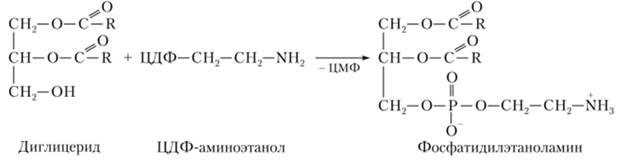 Схема синтеза фосфолипида