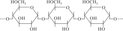 Фрагмент молекулы амилозы